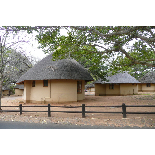 Picture South Africa Kruger National Park 2008-09 22 - Tours Kruger National Park