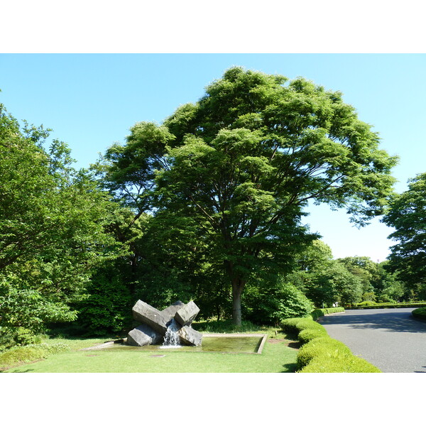 Picture Japan Tokyo Imperial Palace 2010-06 87 - Discovery Imperial Palace