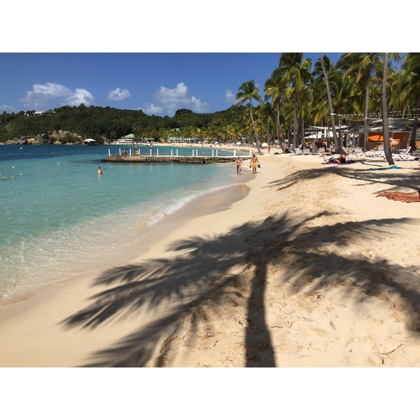 Picture Guadeloupe La Caravelle Beach 2021-02 77 - Around La Caravelle Beach