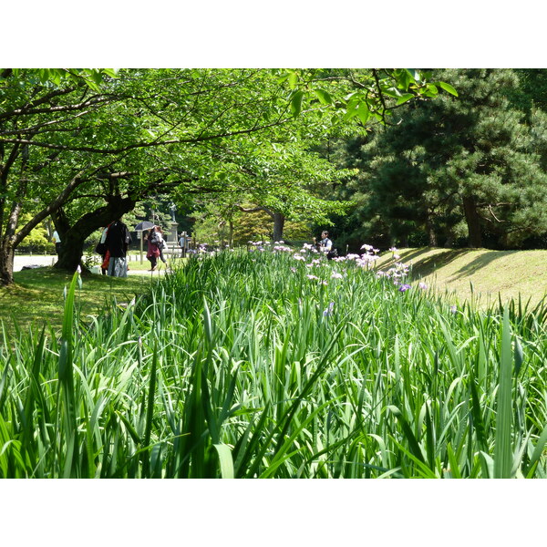 Picture Japan Tokyo Hama rikyu Gardens 2010-06 110 - Discovery Hama rikyu Gardens