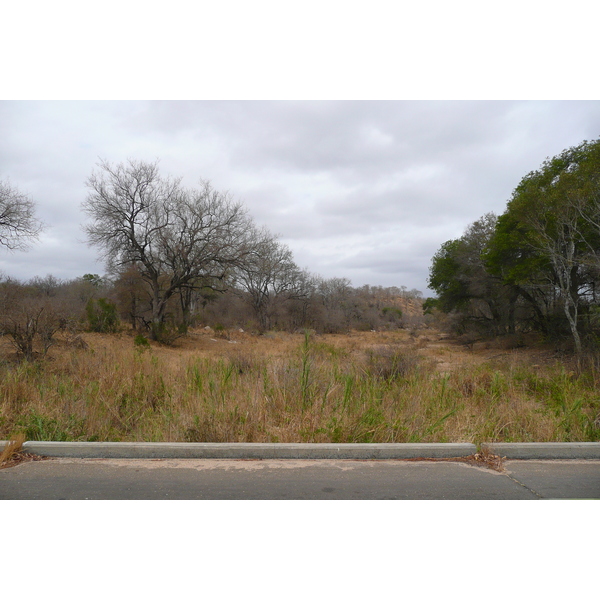 Picture South Africa Kruger National Park 2008-09 177 - Tours Kruger National Park