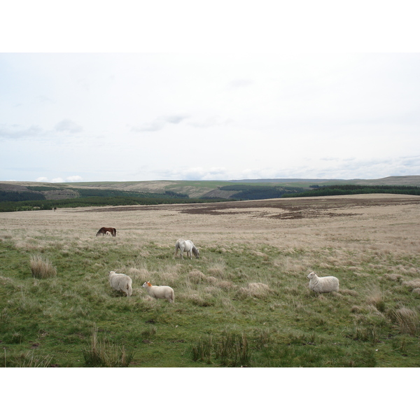 Picture United Kingdom Brecon Beacons National Parc 2006-05 19 - Tours Brecon Beacons National Parc