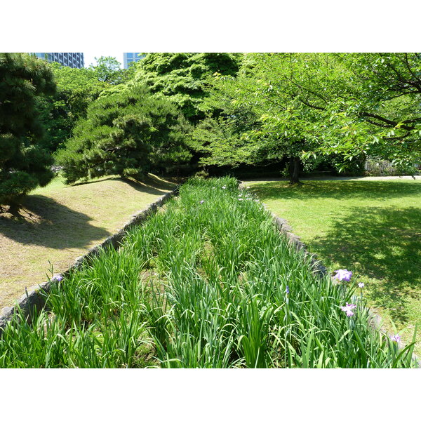 Picture Japan Tokyo Hama rikyu Gardens 2010-06 109 - Around Hama rikyu Gardens