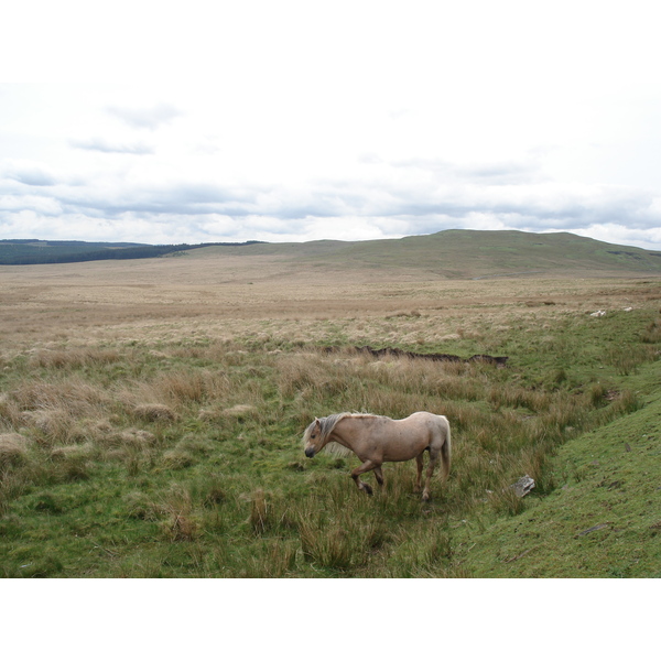 Picture United Kingdom Brecon Beacons National Parc 2006-05 25 - Tour Brecon Beacons National Parc