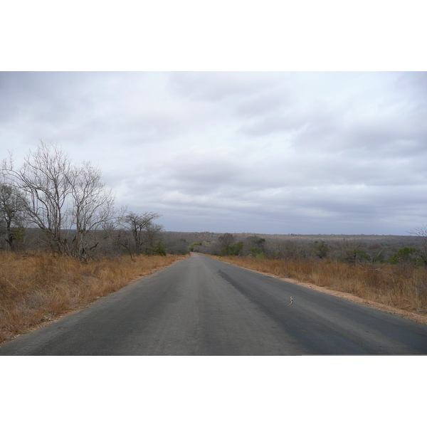 Picture South Africa Kruger National Park 2008-09 180 - Center Kruger National Park