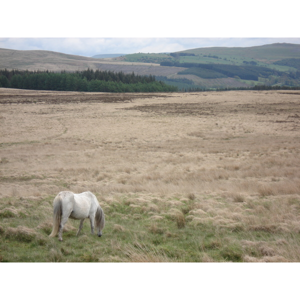 Picture United Kingdom Brecon Beacons National Parc 2006-05 17 - Center Brecon Beacons National Parc