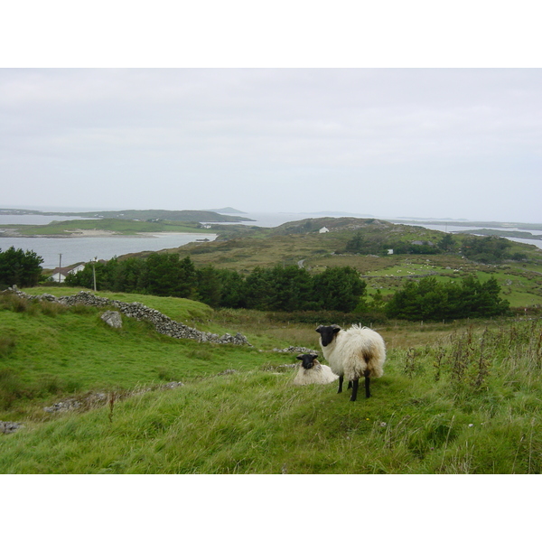 Picture Ireland Connemara 2003-09 36 - Center Connemara