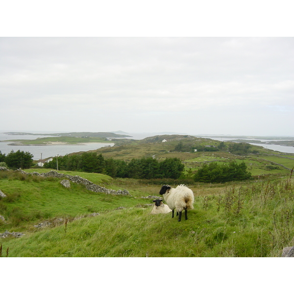 Picture Ireland Connemara 2003-09 43 - Tours Connemara