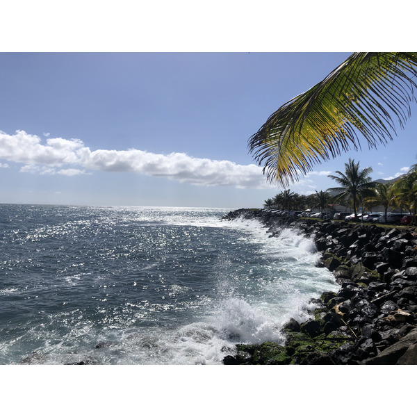 Picture Guadeloupe Trois Rivieres 2021-02 5 - Recreation Trois Rivieres