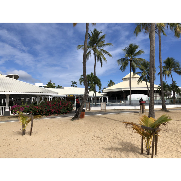 Picture Guadeloupe La Caravelle Beach 2021-02 118 - Around La Caravelle Beach