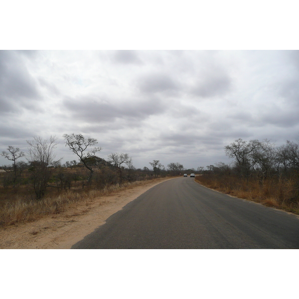 Picture South Africa Kruger National Park 2008-09 194 - Tour Kruger National Park