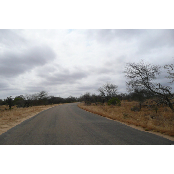 Picture South Africa Kruger National Park 2008-09 197 - Tours Kruger National Park