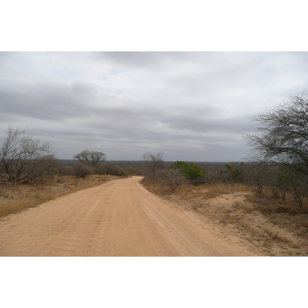 Picture South Africa Kruger National Park 2008-09 189 - Tours Kruger National Park