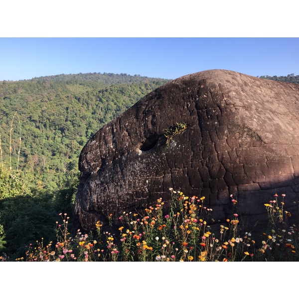 Picture Thailand Phu Hin Rong Kla National Park 2014-12 395 - Discovery Phu Hin Rong Kla National Park