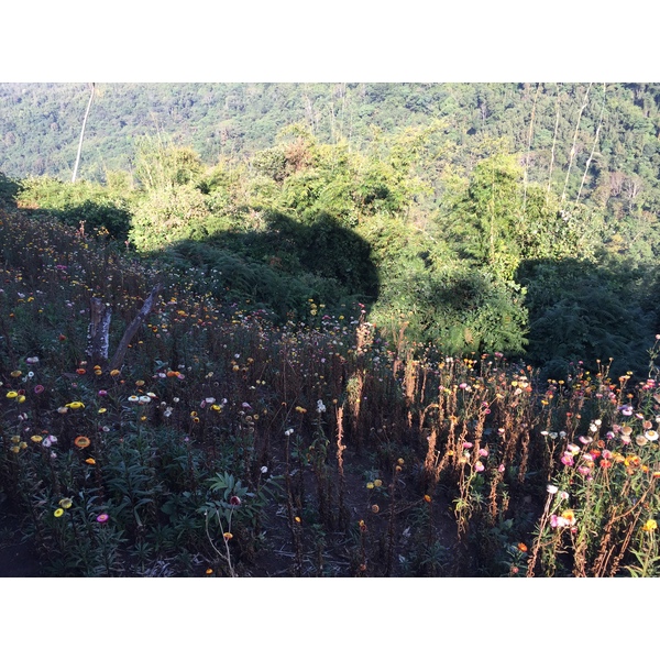 Picture Thailand Phu Hin Rong Kla National Park 2014-12 407 - Journey Phu Hin Rong Kla National Park