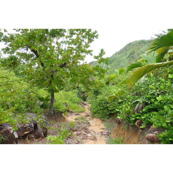 Picture Seychelles Anse Lazio 2011-10 97 - Center Anse Lazio