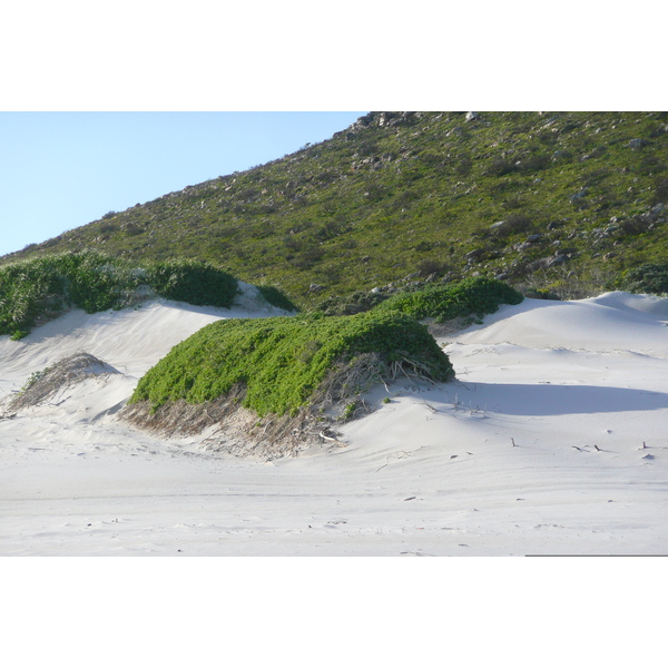 Picture South Africa Cape of Good Hope 2008-09 5 - Around Cape of Good Hope