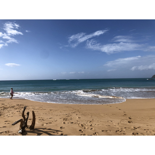 Picture Guadeloupe La Perle Beach 2021-02 95 - Journey La Perle Beach