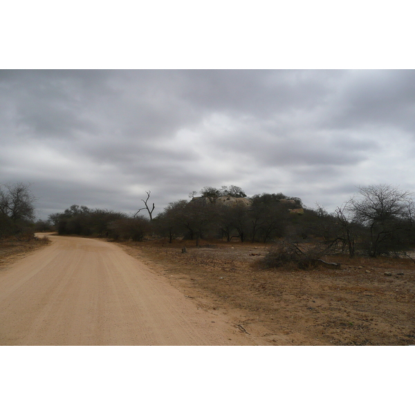 Picture South Africa Kruger National Park 2008-09 12 - Tour Kruger National Park