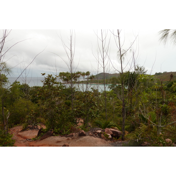 Picture Seychelles Anse Lazio 2011-10 186 - Center Anse Lazio