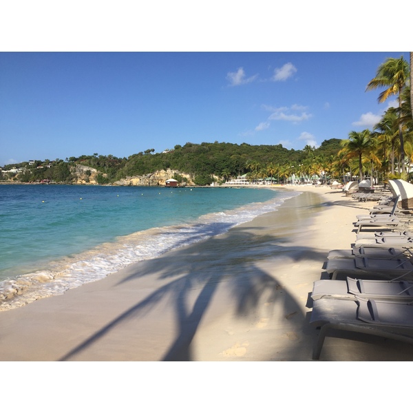 Picture Guadeloupe La Caravelle Beach 2021-02 100 - Center La Caravelle Beach