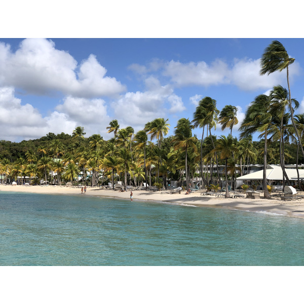 Picture Guadeloupe La Caravelle Beach 2021-02 68 - Around La Caravelle Beach