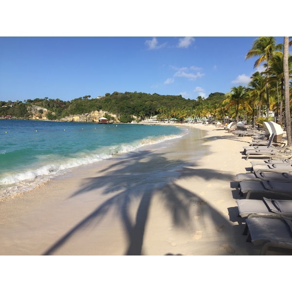 Picture Guadeloupe La Caravelle Beach 2021-02 108 - Tour La Caravelle Beach