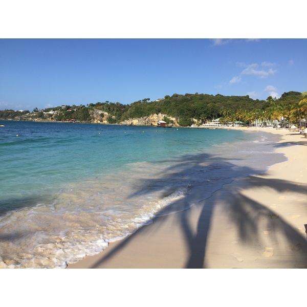 Picture Guadeloupe La Caravelle Beach 2021-02 83 - Discovery La Caravelle Beach