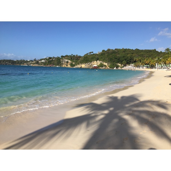 Picture Guadeloupe La Caravelle Beach 2021-02 78 - Around La Caravelle Beach