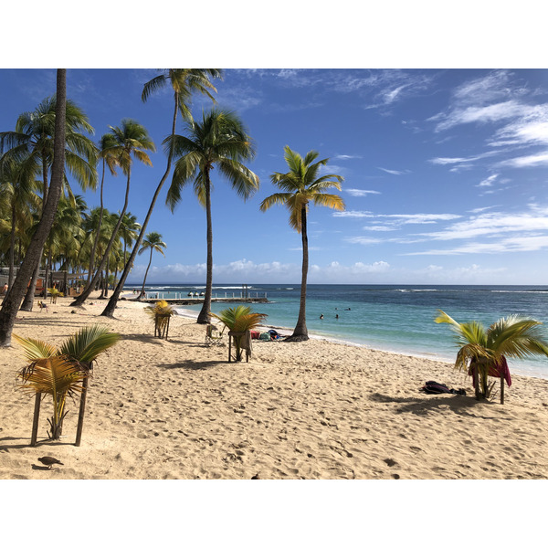 Picture Guadeloupe La Caravelle Beach 2021-02 16 - Center La Caravelle Beach