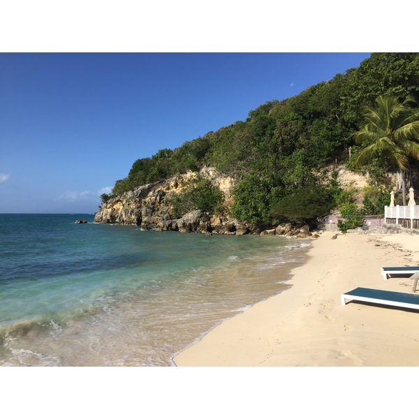 Picture Guadeloupe La Caravelle Beach 2021-02 62 - Around La Caravelle Beach