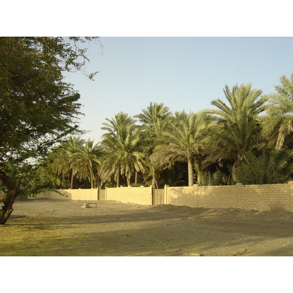 Picture United Arab Emirates Al Ain Al Ain Oasis 2005-03 40 - Discovery Al Ain Oasis