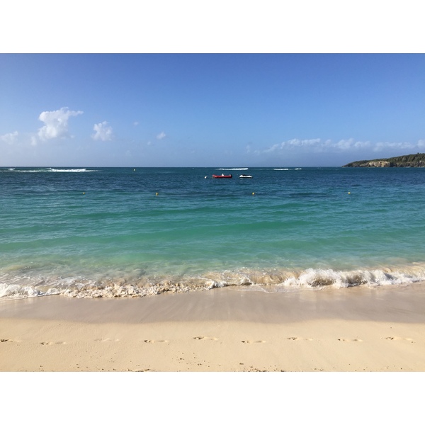 Picture Guadeloupe La Caravelle Beach 2021-02 120 - Tour La Caravelle Beach