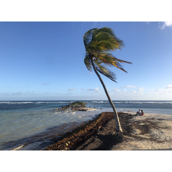 Picture Guadeloupe La Caravelle Beach 2021-02 11 - Tour La Caravelle Beach