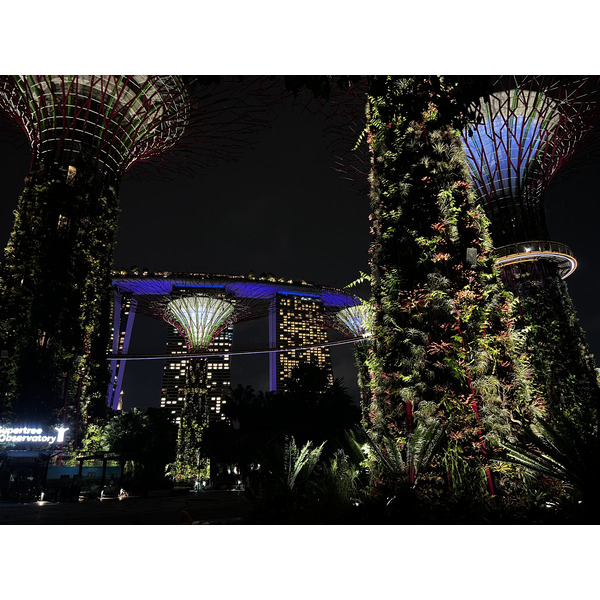 Picture Singapore Garden by the bay 2023-01 28 - Center Garden by the bay