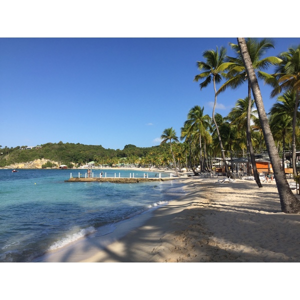 Picture Guadeloupe La Caravelle Beach 2021-02 61 - Around La Caravelle Beach