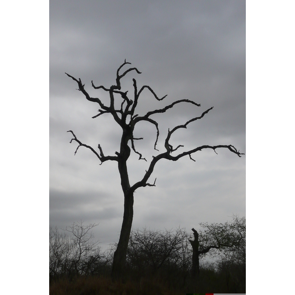 Picture South Africa Kruger National Park 2008-09 112 - History Kruger National Park