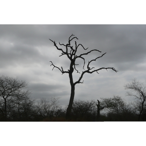 Picture South Africa Kruger National Park 2008-09 113 - History Kruger National Park