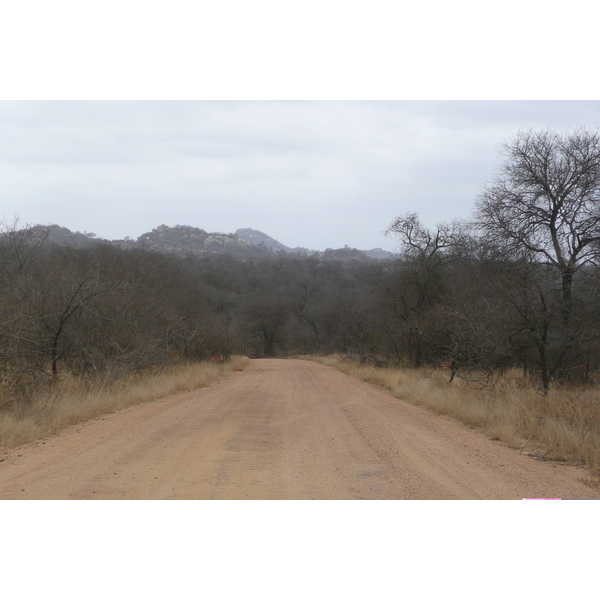 Picture South Africa Kruger National Park 2008-09 73 - Discovery Kruger National Park