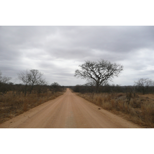 Picture South Africa Kruger National Park 2008-09 72 - Around Kruger National Park