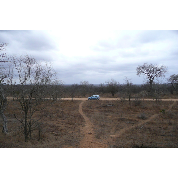 Picture South Africa Kruger National Park 2008-09 92 - Tour Kruger National Park