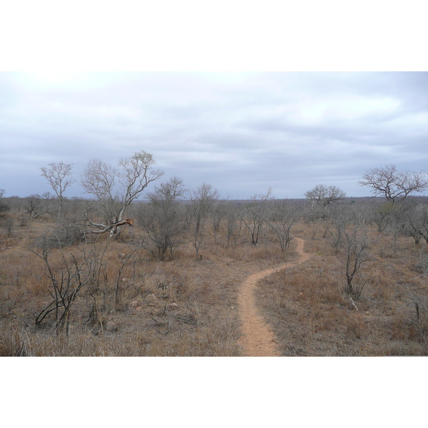 Picture South Africa Kruger National Park 2008-09 93 - Around Kruger National Park