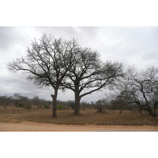 Picture South Africa Kruger National Park 2008-09 32 - Recreation Kruger National Park