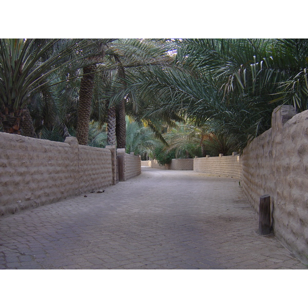 Picture United Arab Emirates Al Ain Al Ain Oasis 2005-03 0 - Around Al Ain Oasis