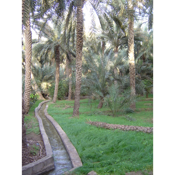 Picture United Arab Emirates Al Ain Al Ain Oasis 2005-03 37 - History Al Ain Oasis