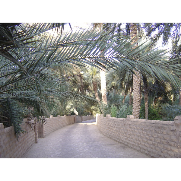 Picture United Arab Emirates Al Ain Al Ain Oasis 2005-03 39 - Discovery Al Ain Oasis