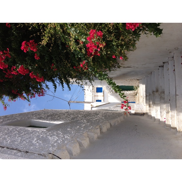 Picture Greece Amorgos 2014-07 332 - Tours Amorgos