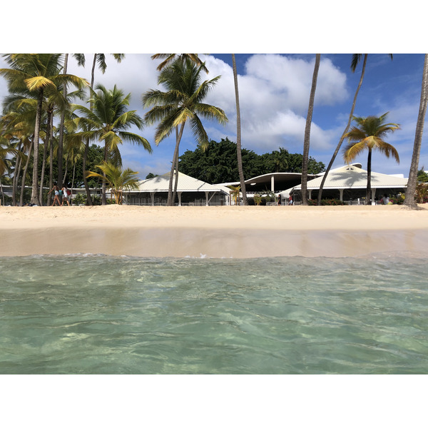 Picture Guadeloupe La Caravelle Beach 2021-02 150 - Around La Caravelle Beach