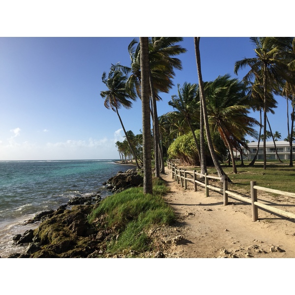 Picture Guadeloupe La Caravelle Beach 2021-02 19 - Tours La Caravelle Beach