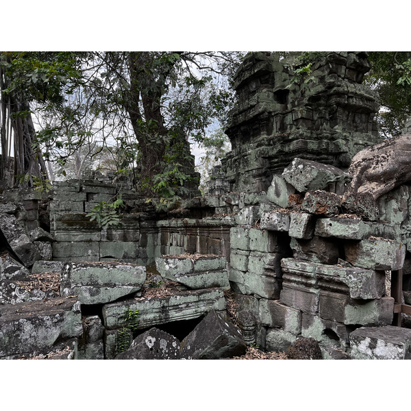 Picture Cambodia Siem Reap Ta Prohm 2023-01 121 - Journey Ta Prohm